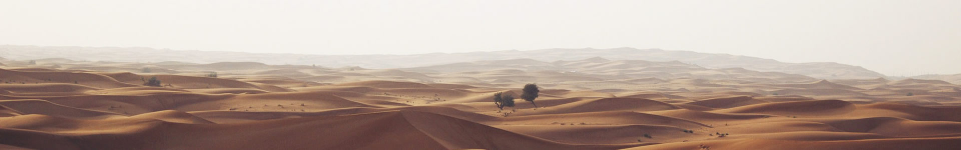 еϴý޹˾